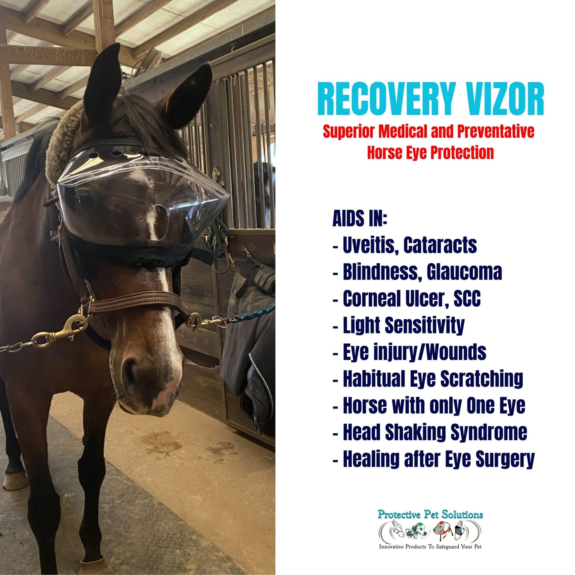 Recovery Vizor, (Size XL - Clear UV Tint) Medical and Preventative Horse Eye (Goggle) Protection Mask for Uveitis/Injury/Scratch